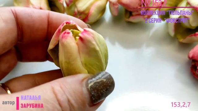 153,2,7 модель из коллекции "Тюльпаны Фокстрот" смотреть онлайн