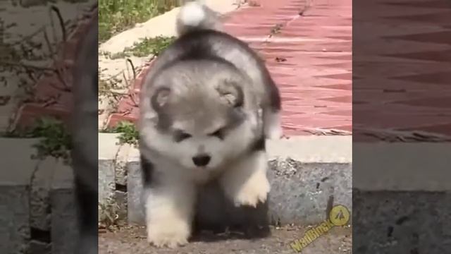 Мне просто скучно ._. (Если хотите можете позадавать вопросы в комментах) смотреть онлайн