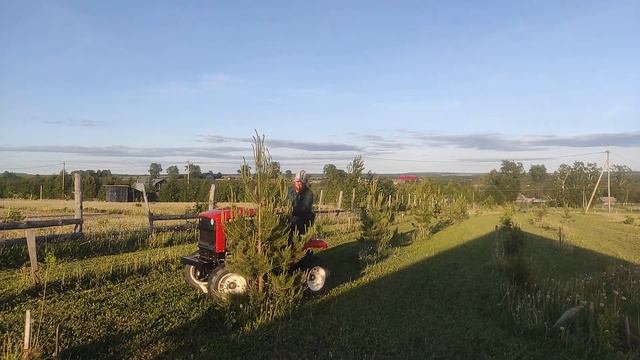 Митракс Т150. Работа газонокосилки. смотреть онлайн