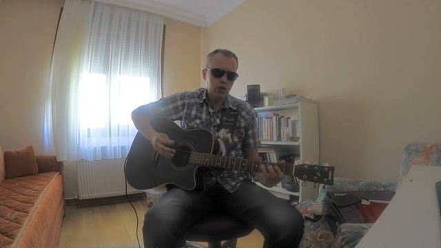 Baby What You Want Me To Do(Elvis Presley Guitar Cover ) by ETHEM ÖNER KESKİN смотреть онлайн