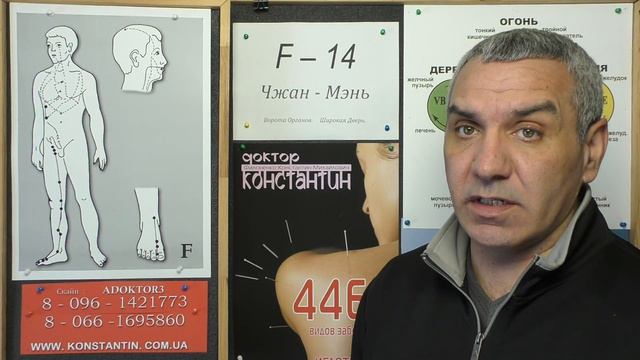 Органы Пищеварения смотреть онлайн