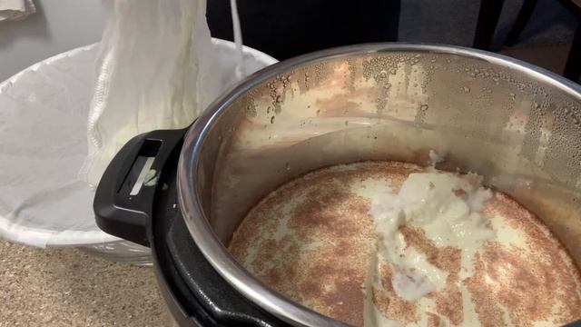 Super EASY Way To Make L. Reuteri Yogurt Or Kefir Yogurt (Cut Version) Insta Pot