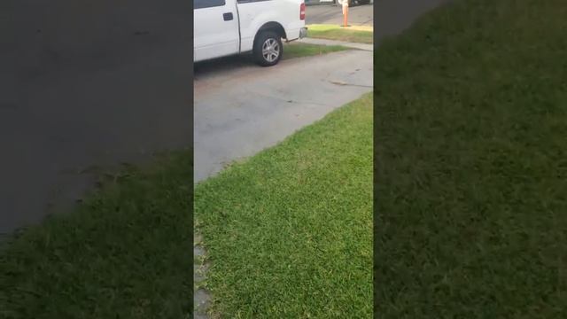 Wow! Mustang Mach-E remote start works from 2 blocks away! смотреть онлайн