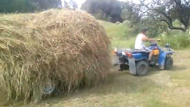 квадроцыкл зим 350 дизель смотреть онлайн