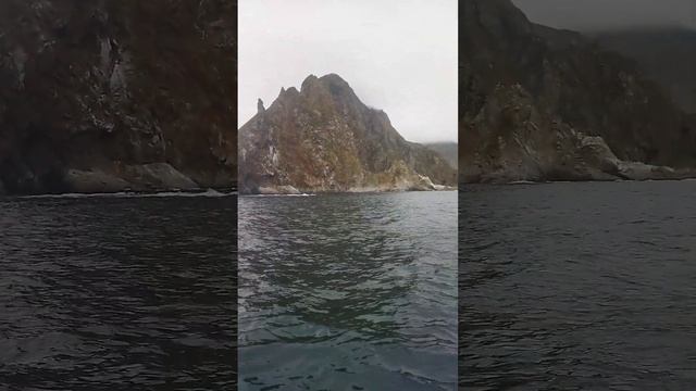 вместе с Максом болтается возле маяка Анива смотреть онлайн