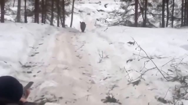 ПРИКОЛ! ЧУТЬ НЕ ОБДЕЛАЛСЯ ОТ СТРАХА НА ОХОТЕ ! смотреть онлайн