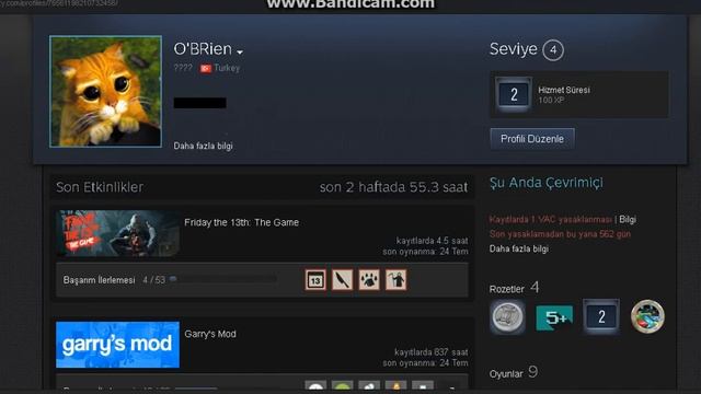 Friday the 13th The Game Fatal Error Hatası !! смотреть онлайн