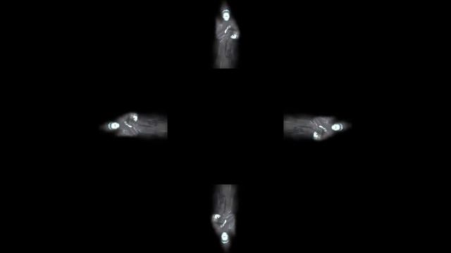 Призраки. 3D голограмма. #hologram #голограмма #пирамидка #holograms #hologramanimation