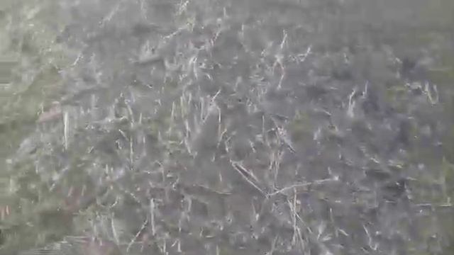 Ноу-тил Ветровая эрозия в Крыму. смотреть онлайн