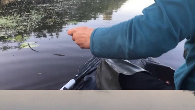 Учусь на своих ошибках смотреть онлайн