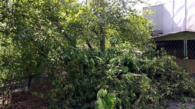 Что было 25 сентября? смотреть онлайн