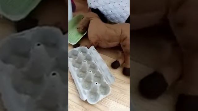 Мой зоопарк, названия животных на английском смотреть онлайн