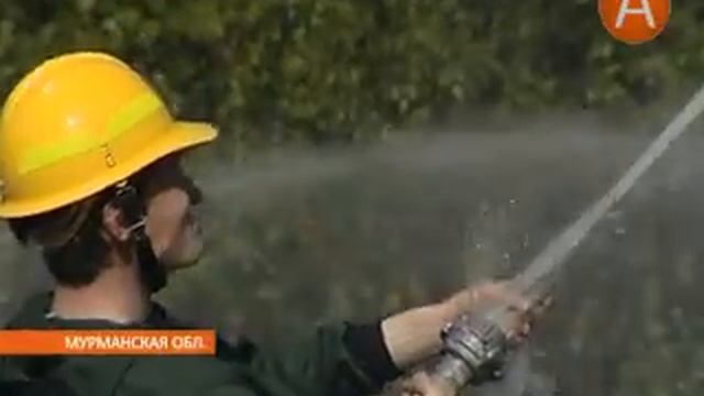 В лесах Мурманской области гражданам запрещено находиться до 28 июля 23.07.2014 смотреть онлайн