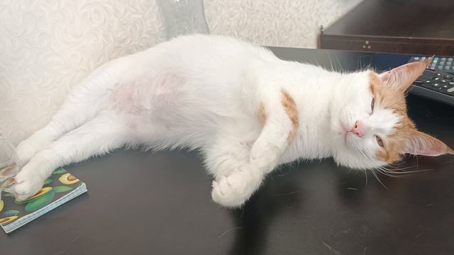 Кузя смотреть онлайн