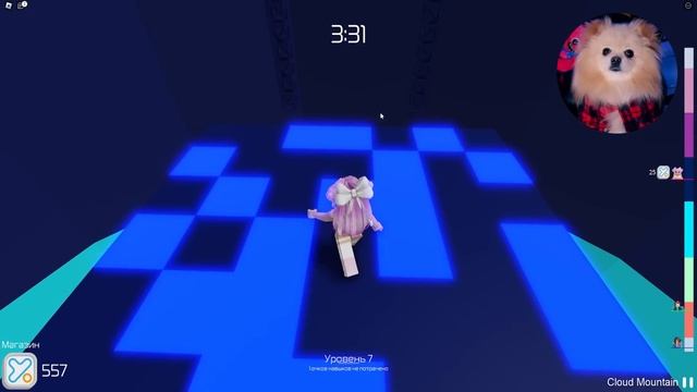 Я ПРОШЛА БАШНЮ АДА В РОБЛОКС ! Tower of Hell ROBLOX смотреть онлайн