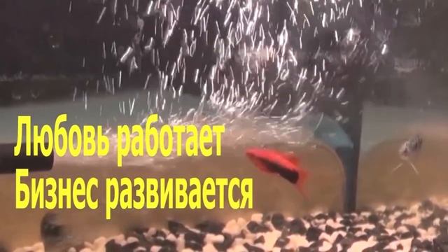 Салон маникюра и педикюра в Бендерах. смотреть онлайн