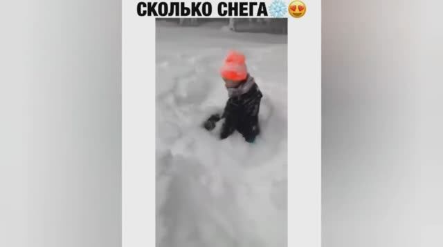 Смешные ролики №42