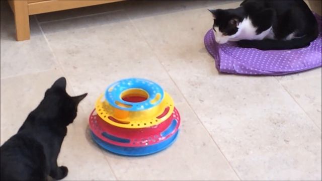 Catch the Balls Trixie Cat Toy with Alfie & Charlie смотреть онлайн