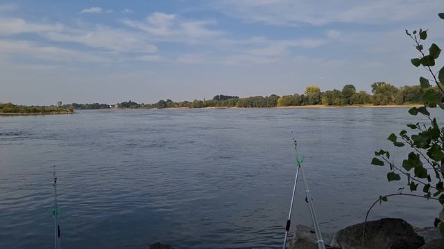 Расслабляющая видео заставка о рыбалке. Рыбалка на Рейне. Relaxing screensaver Fishing Video. 4К смотреть онлайн