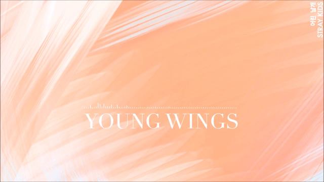 Stray Kids 스트레이 키즈 - Young Wings 어린 날개 - Piano Cover смотреть онлайн