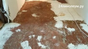 Линолеум в коридор! Как уложить линолеум в коридоре?