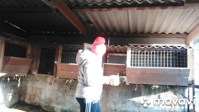 Вот такое оно это утро😘🤭🤦♀️😏😘