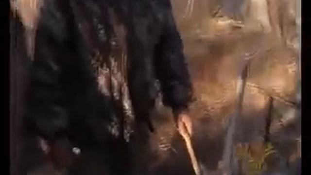Охота и рыбалка в Якутии смотреть онлайн