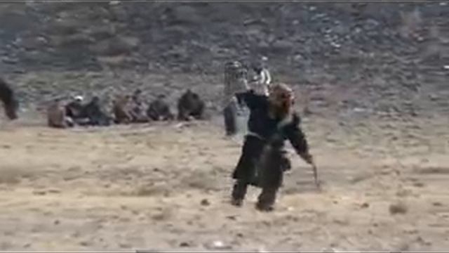 Golden Eagle Hunting Wolf смотреть онлайн