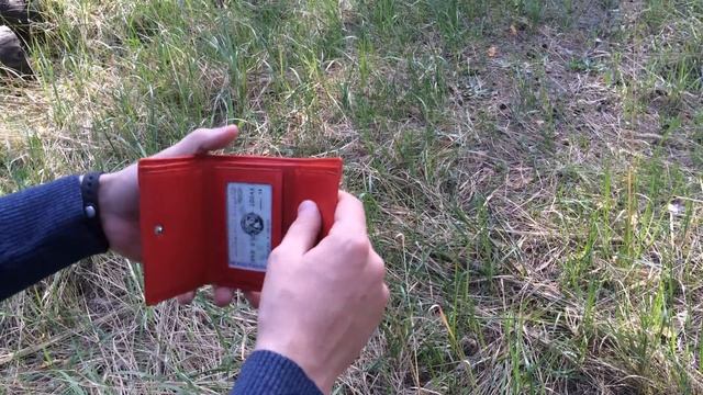 Мягкий женский красный бумажник смотреть онлайн