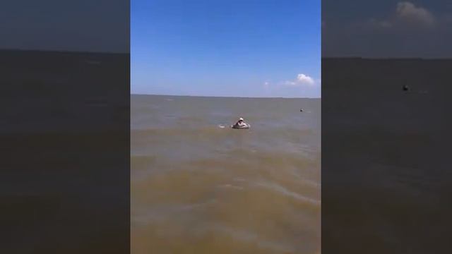 Приморско-Ахтарск. Июнь 2014. Азовское море. смотреть онлайн