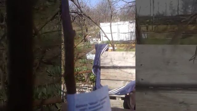 Получение/распечатка посылки смотреть онлайн