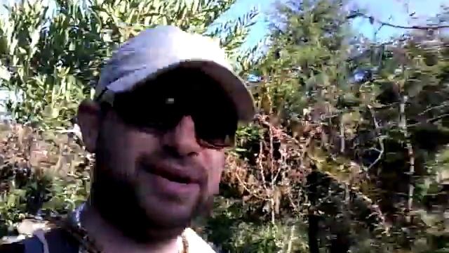 Йога тур в Индию.Экстатичные Гималаи... смотреть онлайн