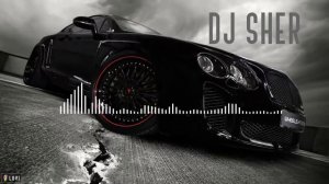 MriD - Дикий яд (Remix) {DJ SHER}