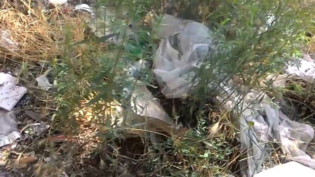 Беспорядок на улицах Евпатории смотреть онлайн