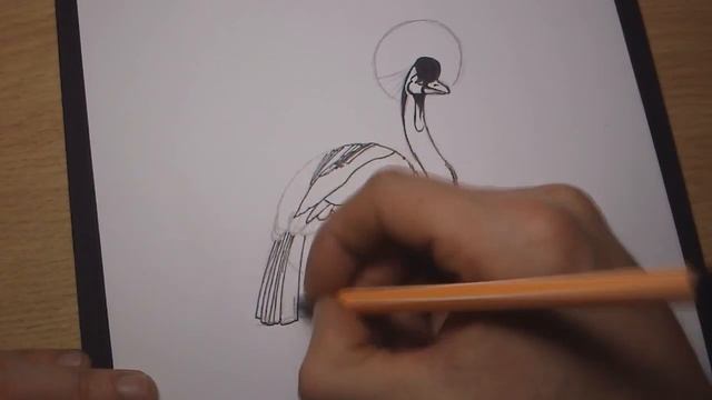 как нарисовать журавля(венценосный журавль) смотреть онлайн