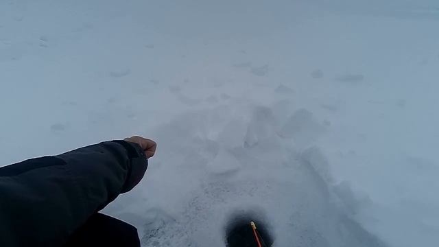 Озеро Чистой воды. ХМАО. 14.01.2023 смотреть онлайн