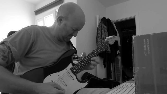 My Guitar Gently Weeps, Prince Solo Cover - Tribute to George Harrison смотреть онлайн