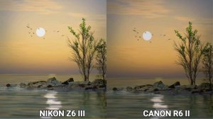 Nikon Z6 III VS Canon R6 II Camera test Comparison