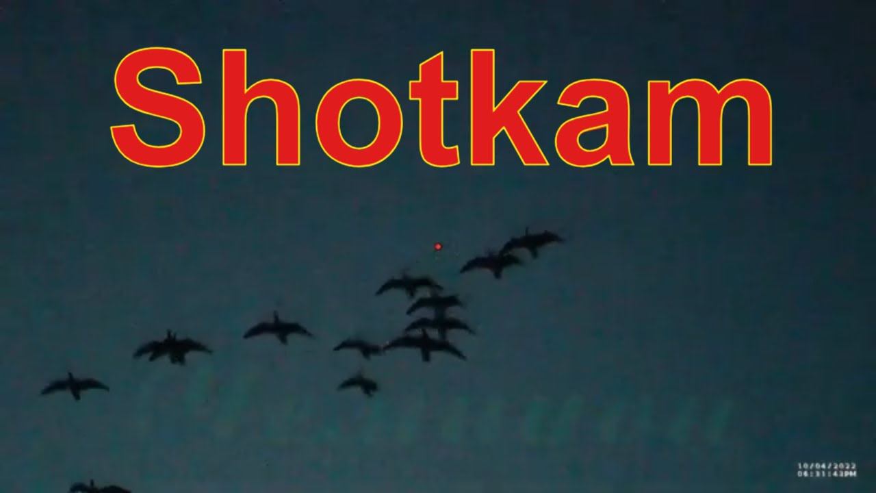 Точные выстрелы снятые на Shotkam #4 and shotkam gen 4 смотреть онлайн