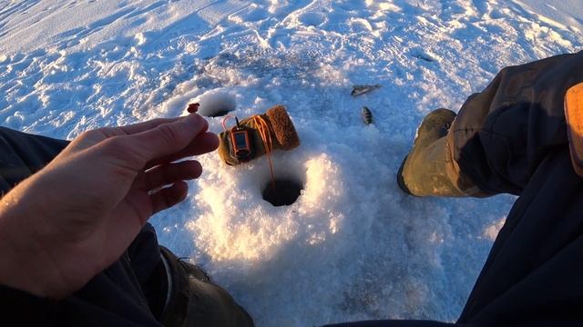 БЕШЕНЫЙ КЛЕВ ОКУНЯ. НАРВАЛСЯ НА СТАЮ И ЛОВЛЮ ОКУНЯ ЗА ЛЕСКУ! смотреть онлайн