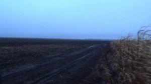 охота на кабана в кукурузе 2022/boar hunting