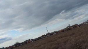 ПОЧТОВЫЕ ГОЛУБИ ЛЕТЯТ ДОМОЙ.