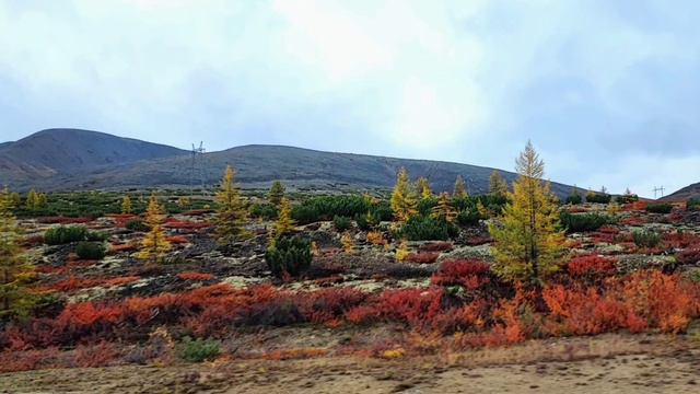 08.09.2022г. Сокол - Ягодное. Поехали! смотреть онлайн