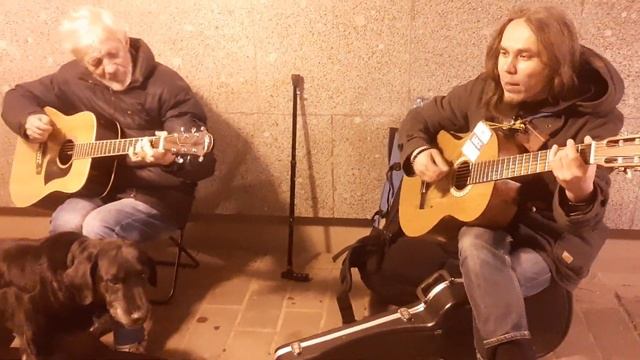 Андрей Кадомцев Иван Соколов Сектор Газа Blacklabrador Rey Трипер Жил был пес моя  музей пса