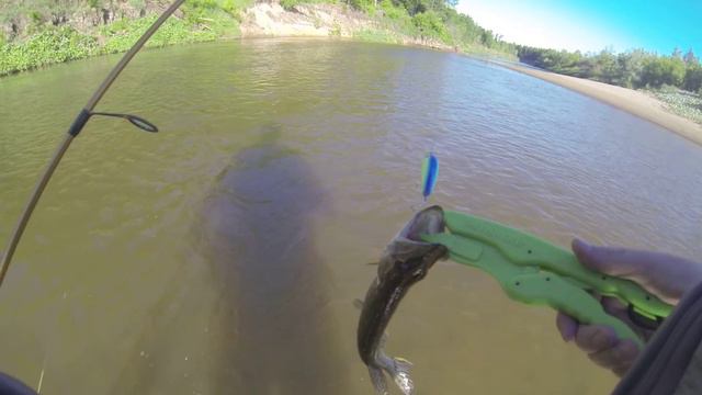 Clutch SR смотреть онлайн