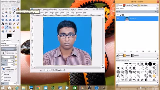 GIMP Tutorial: Remove Your Photo's Background & Make it White