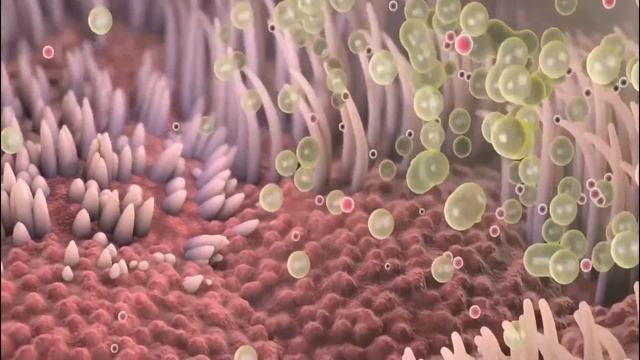 Пока не удалили...ШОК. К чему приводит КУРЕНИЕ. ПОСЛЕДСТВИЯ КУРЕНИЯ!!! смотреть онлайн