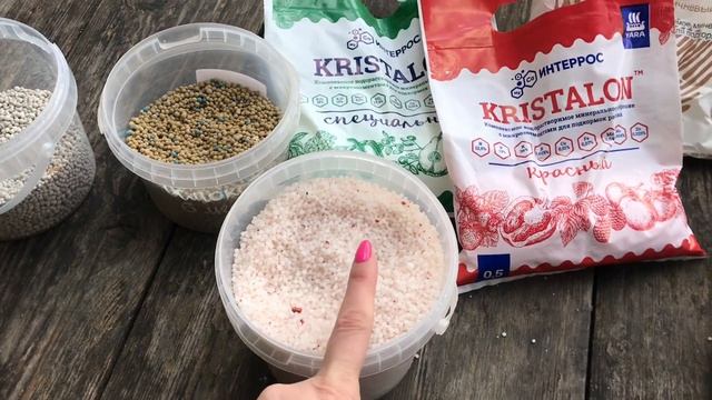 РОЗЫ будут цвести как сумасшедшие ‼️ Удобрение для роз, проверено временем ? смотреть онлайн