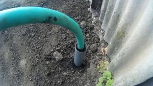 ? Подземный полив винограда. Устройство трубы для подземного полива.