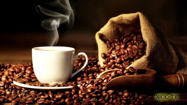 Лесная философия грибника